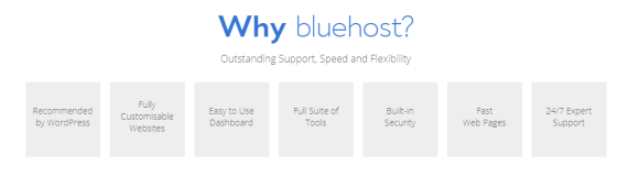 Bluehost Features